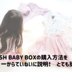 FINNISH BABY BOX 購入方法